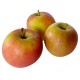 Pomme Fuji