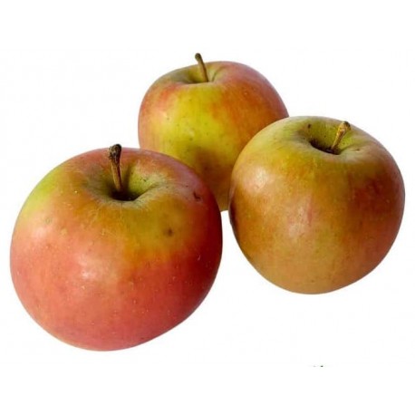 Pomme Fuji