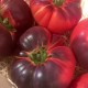 Tomate noire indigo