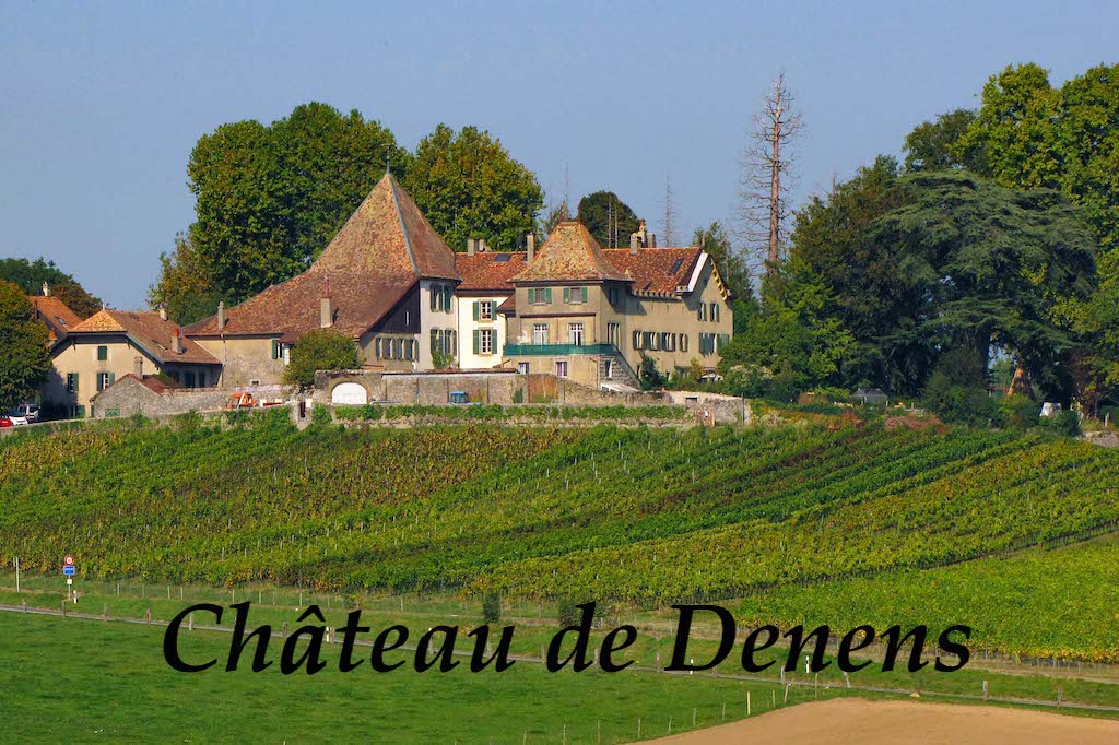 Château de Denens